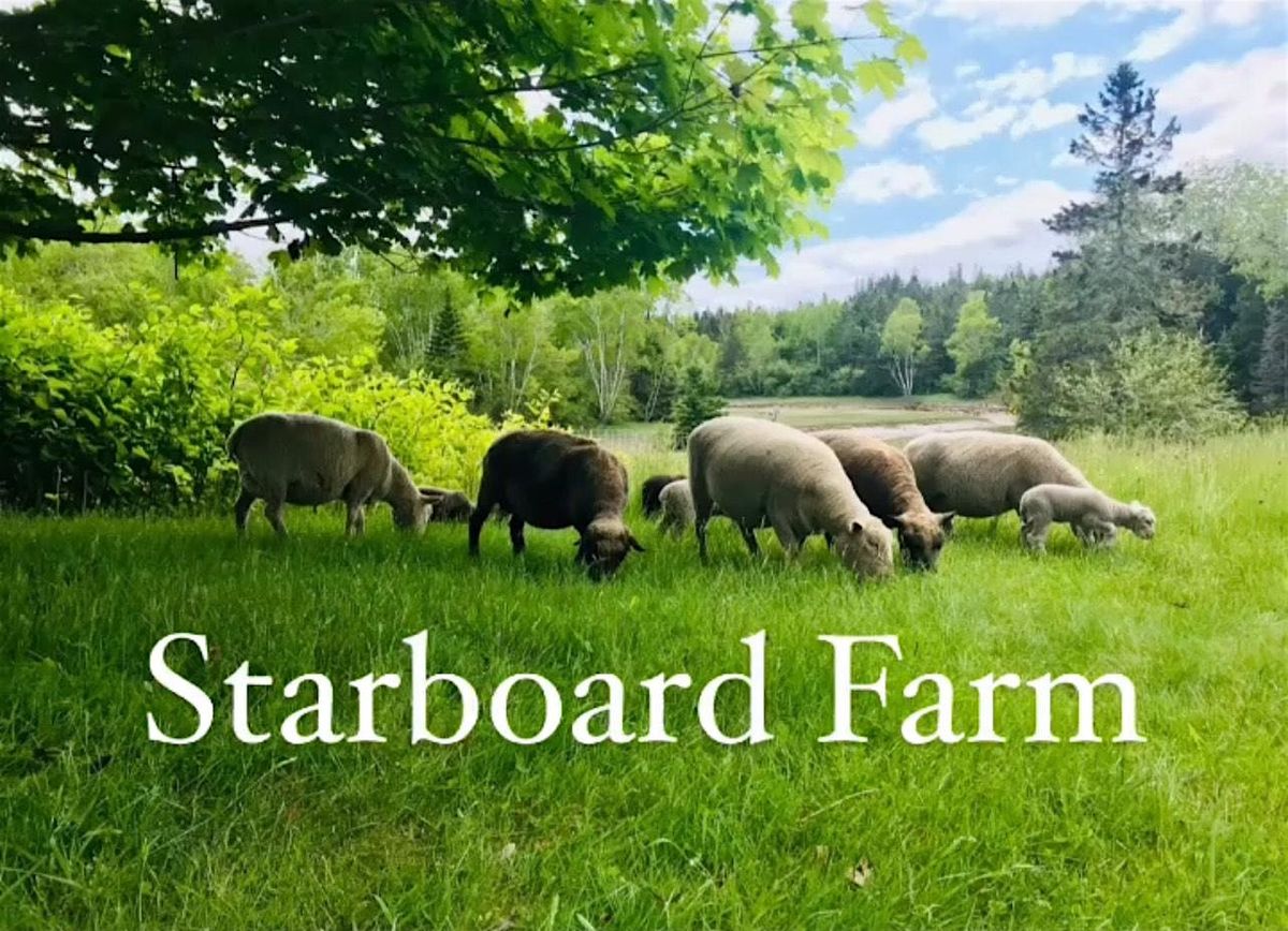 Self Sufficiency 101-Starboard Farm: Raising Sheep on your Homestead