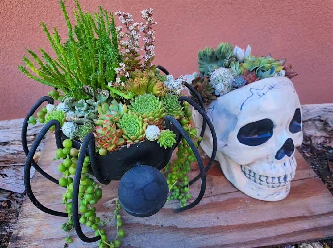 Halloween Planter Workshop At Burning Beard