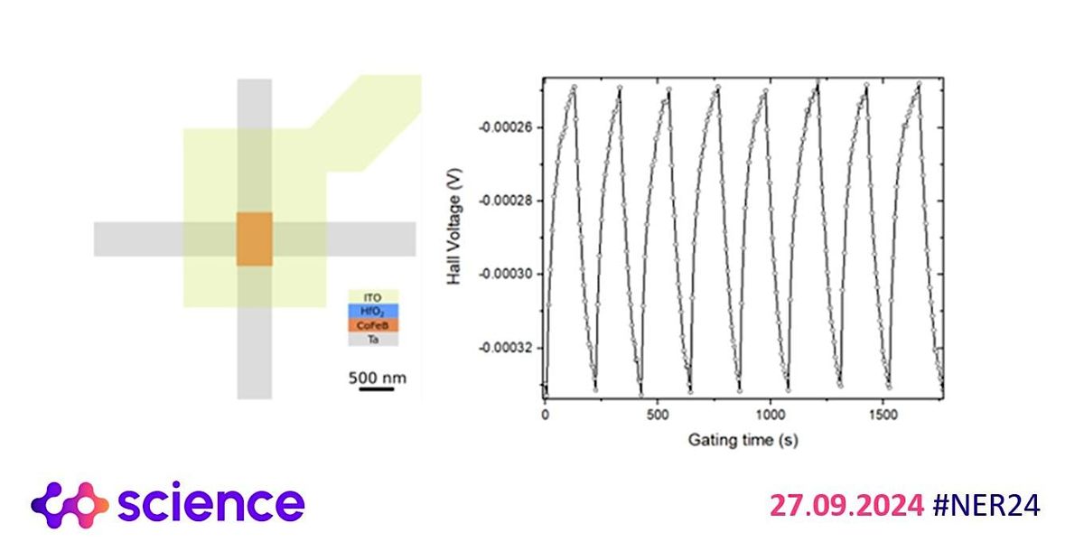 METASPIN - Metaplastic Spintronics Synapses