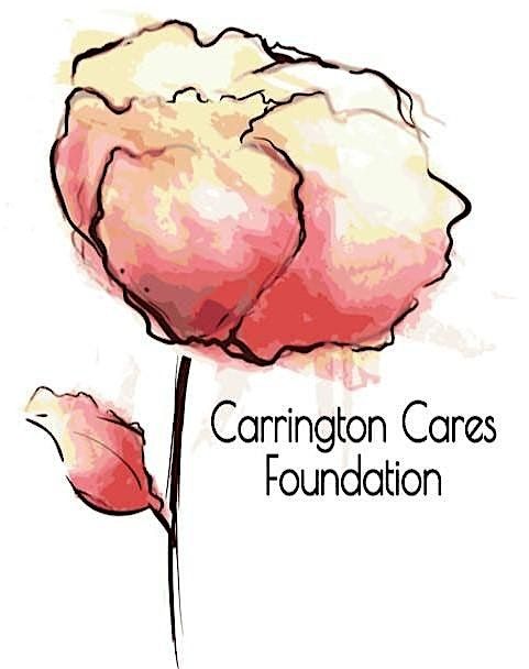 Carrington Cares Foundation Annual Pink Carpet Affair