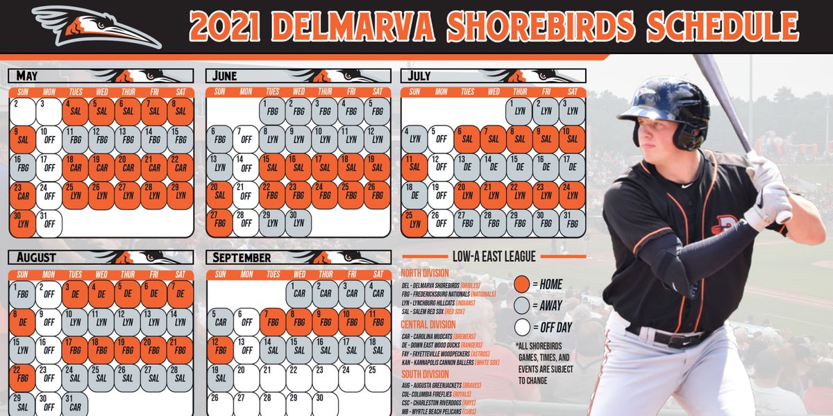 Fredericksburg Nationals at Delmarva Shorebirds