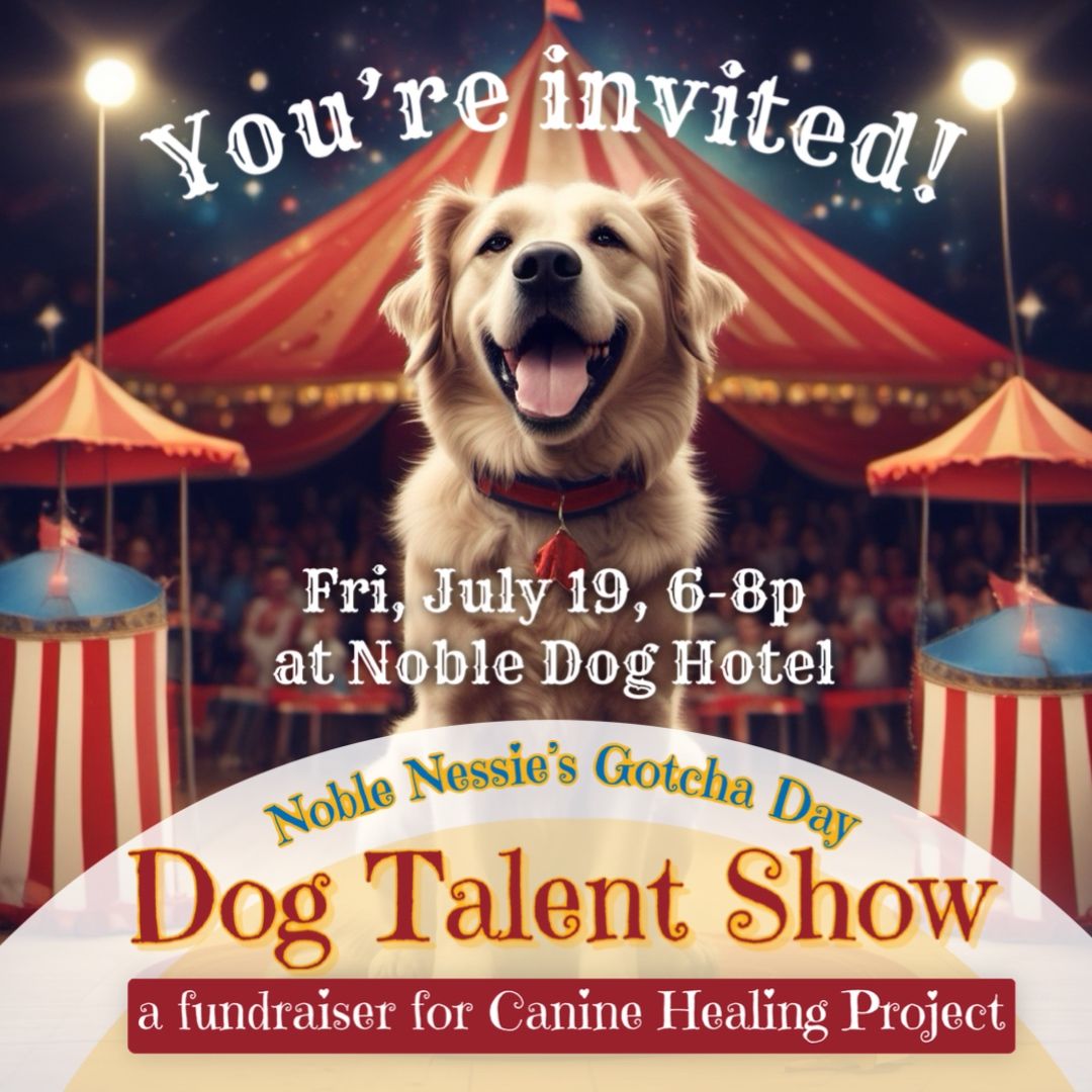 Noble Nessie's Dog Talent Show Fundraiser