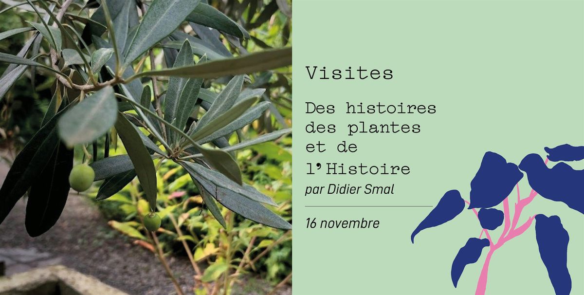 Des histoires de plantes et de l'Histoire