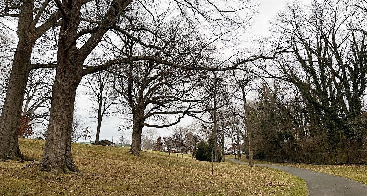 Trees Please!  Guided Tree Walk at Forest Hills Park