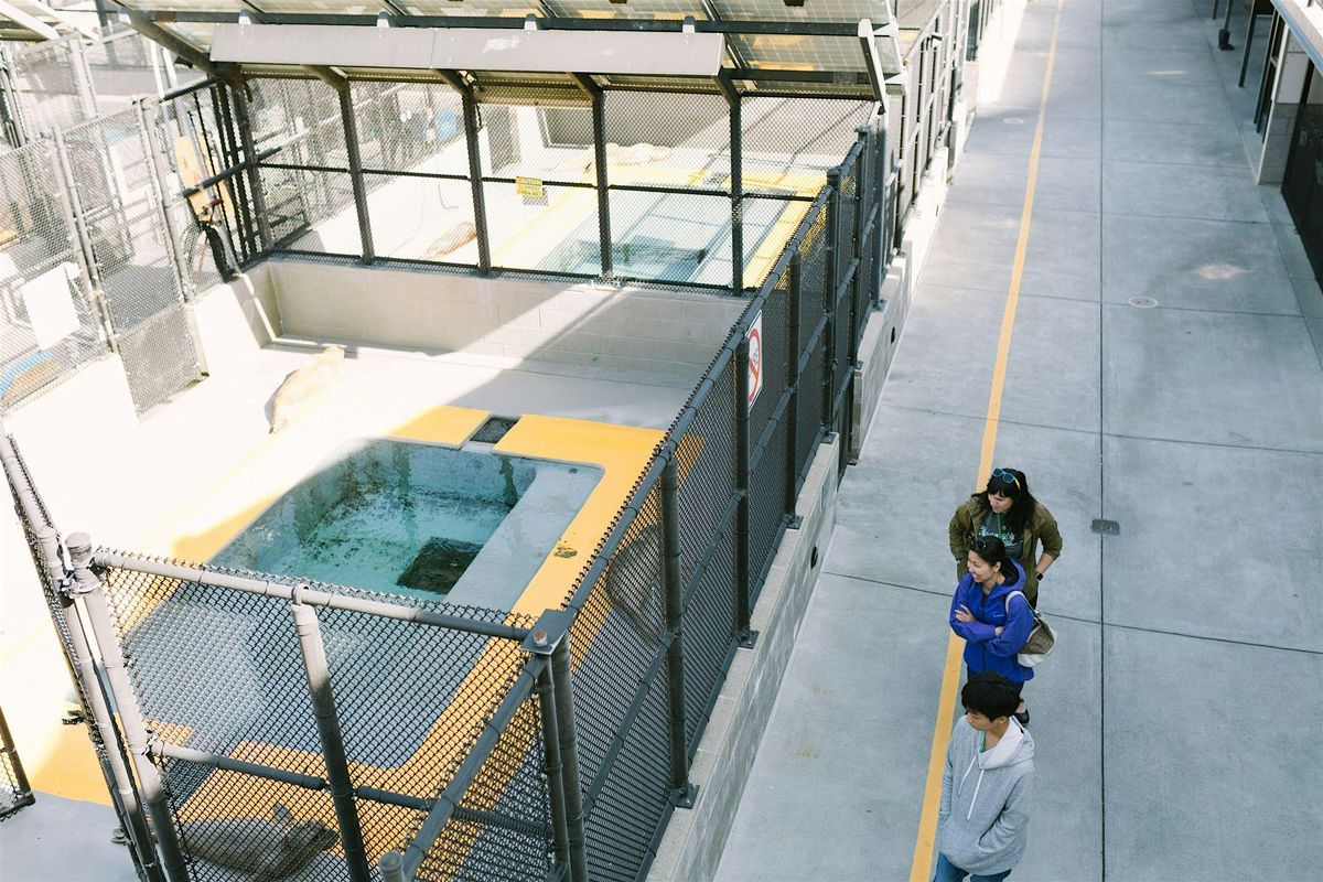 Behind-the-Scenes Experience at The Marine Mammal Center