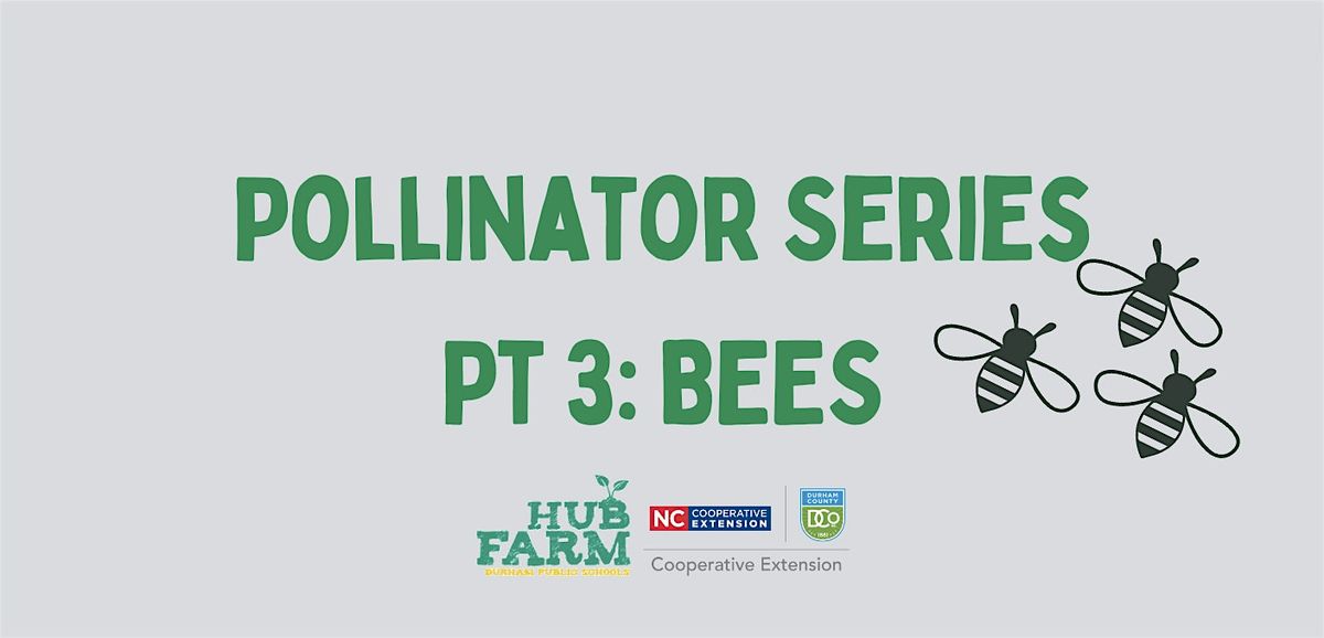 Pollinator Series Part 3: Bees