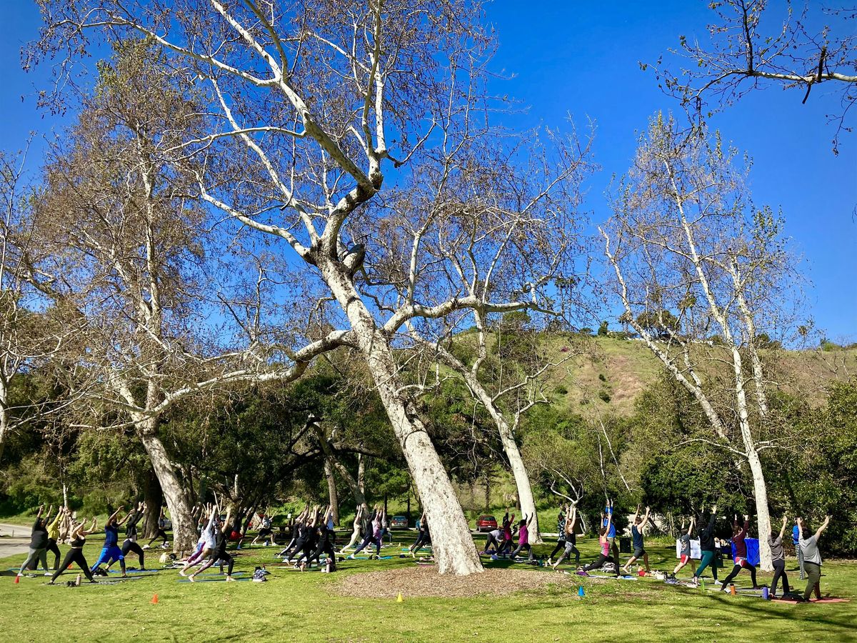 Yoga in the Park | Go Heart Adventist Health