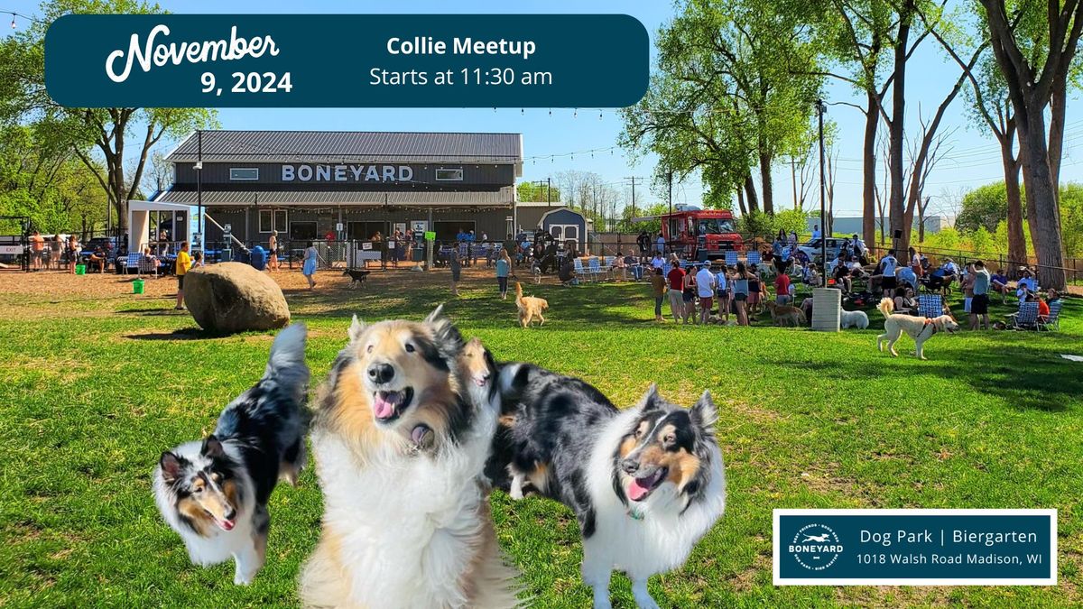 Collie Meetup