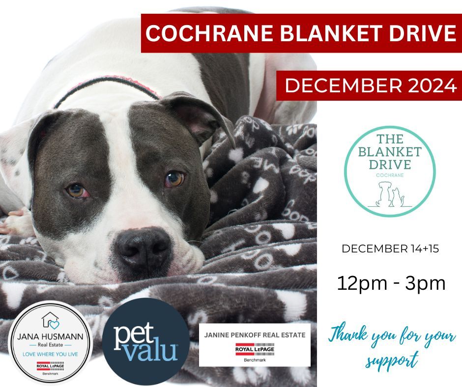 Cochrane Blanket Drive 2024