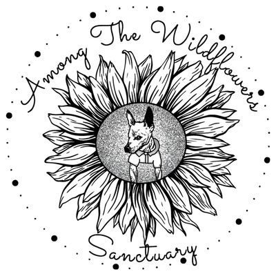 Among The Wildflowers Sanctuary