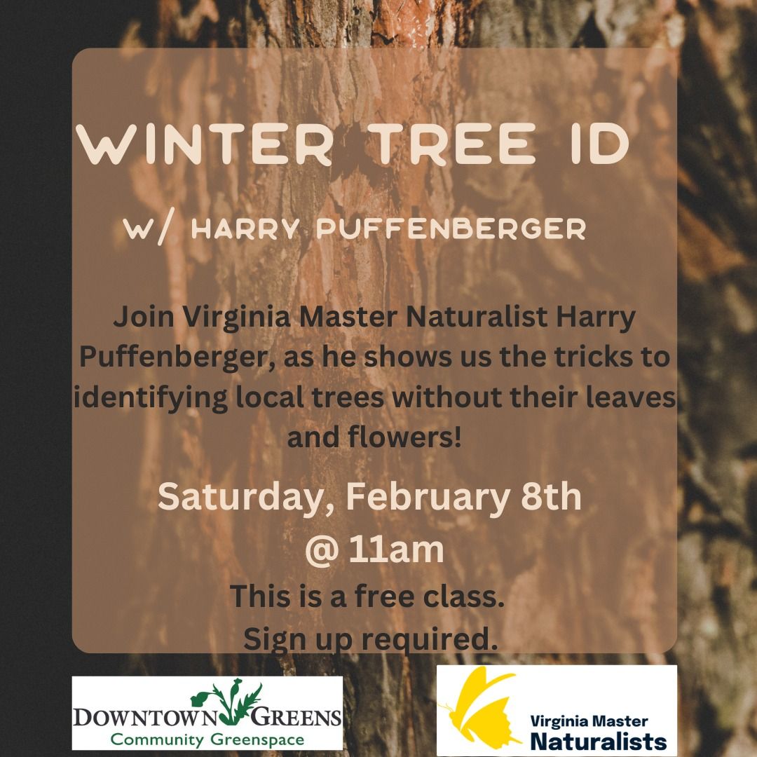 Winter Tree ID w\/ Harry Puffenberger