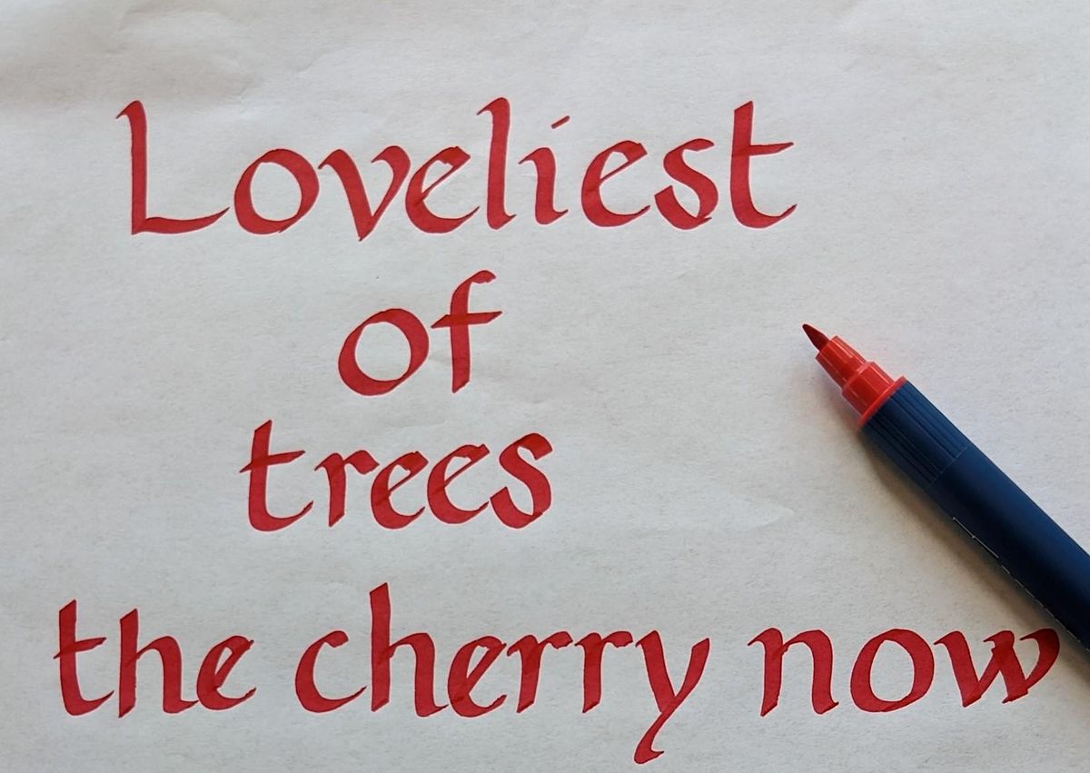 Calligraphy for Beginners-Ravenshead Library-Adult Learning