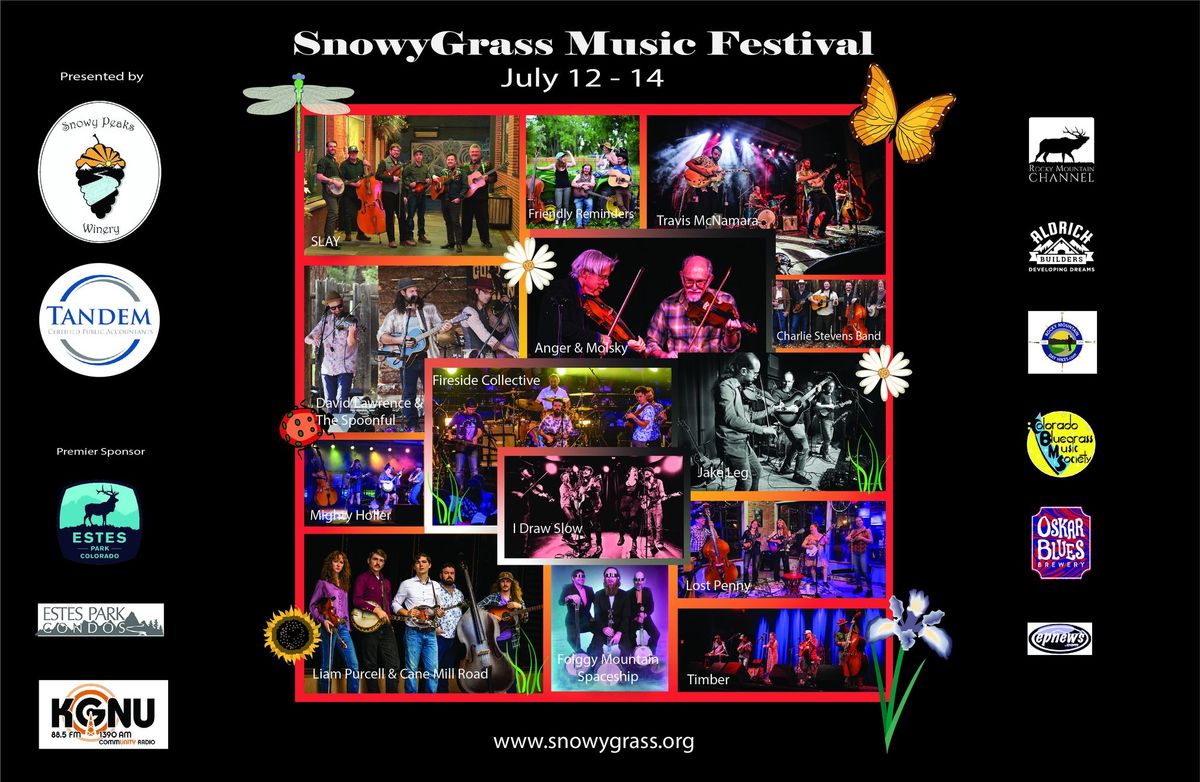 SnowyGrass Music Festival 2024