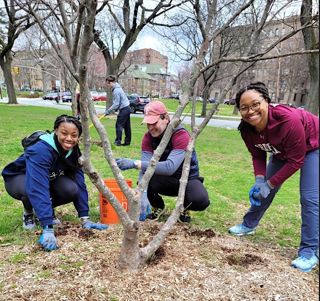 Tree Giveaway and Stewardship Day at Crotona Park