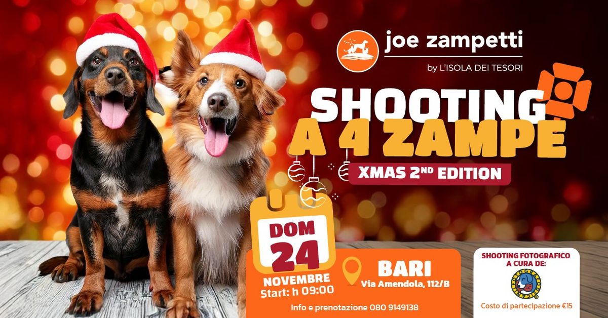 \ud83c\udf85 Shooting a 4 Zampe - Xmas 2nd EDITION | Bari Amendola\ud83c\udf85