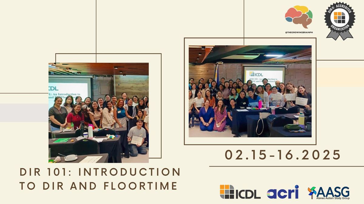 DIR 101: An Introduction to DIR and DIR Floortime