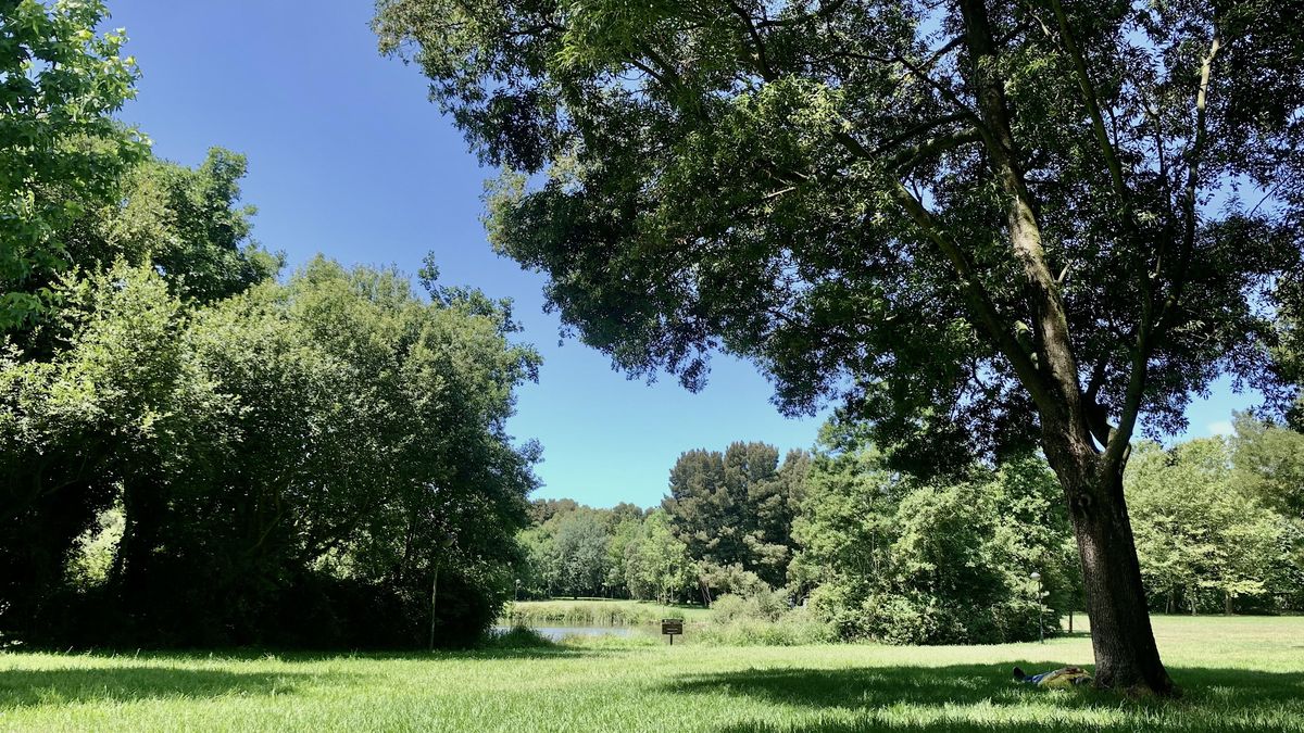 Nature Bath in the Parque da Cidade - Porto