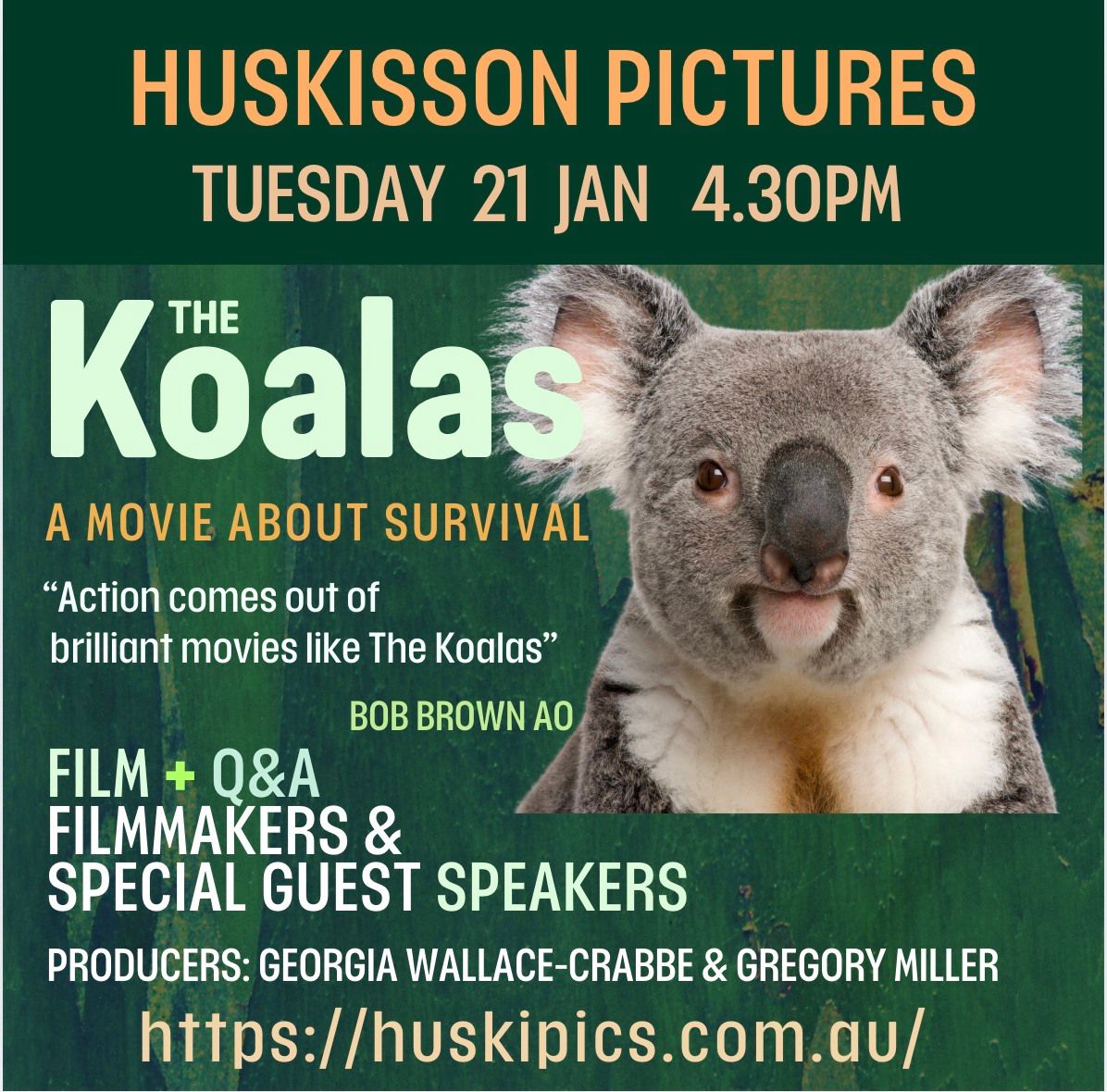 South Coast Tour & Koalas Film Screening Huskisson