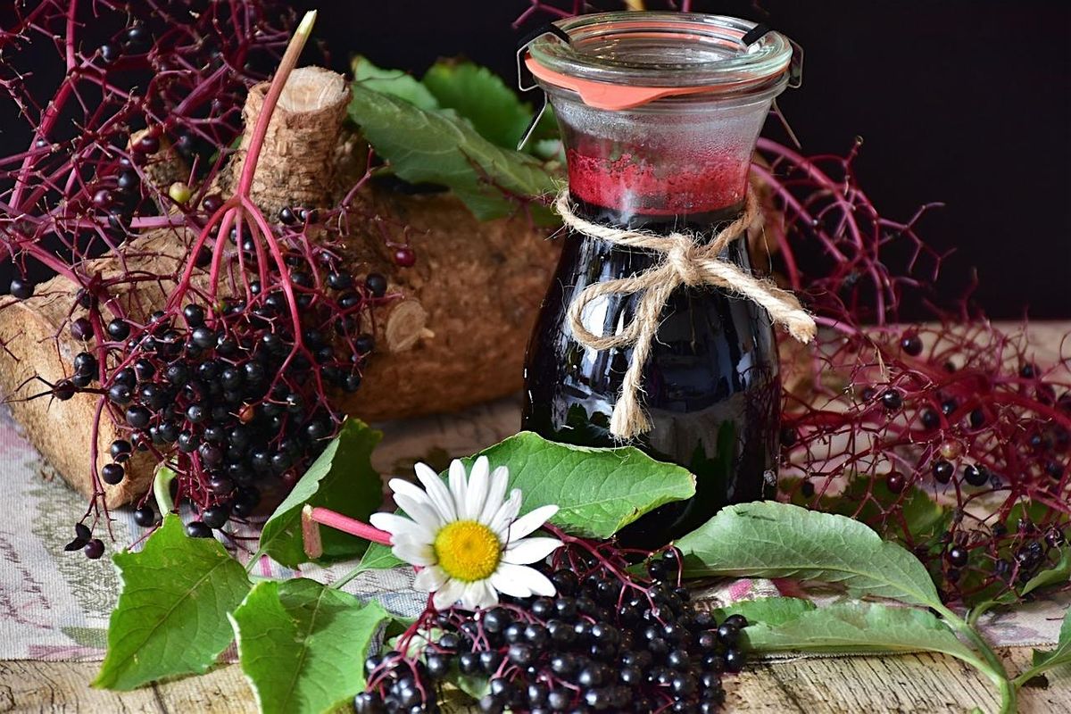 Elderberry Syrup Making Class
