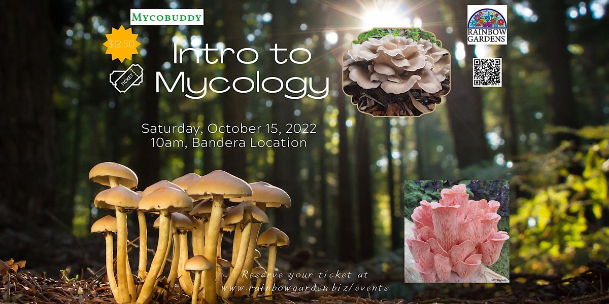Intro to Mycology