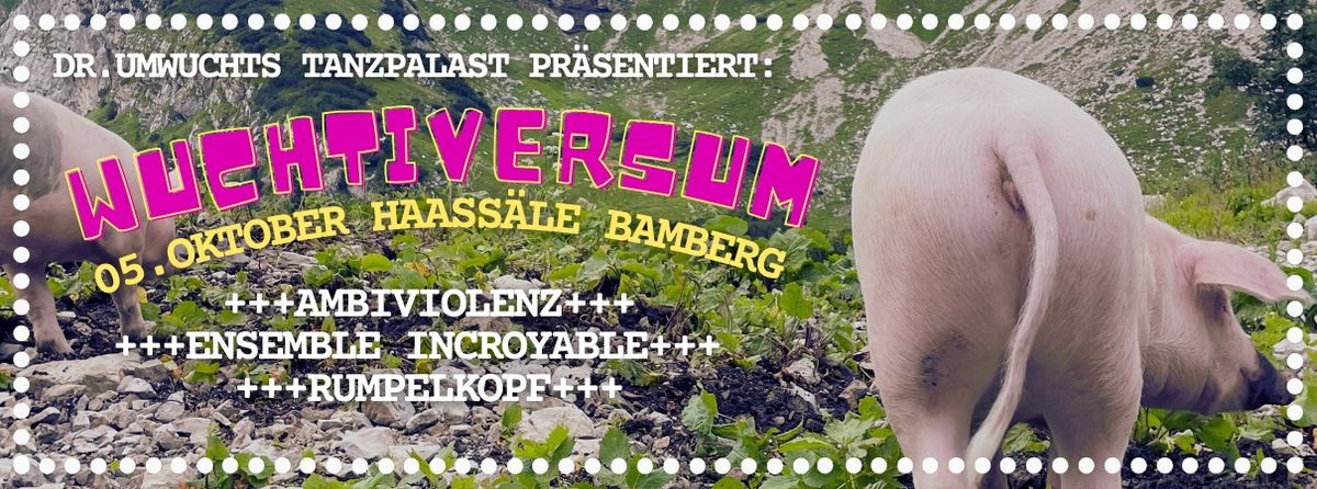 WUCHTIVERSUM I ::: Live in den Haas S\u00e4len Bamberg 