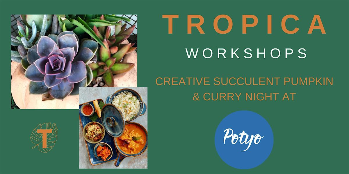 Succulent Pumpkin Workshop & Curry Night