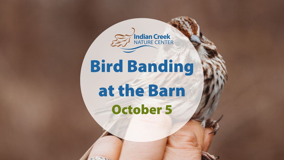 Bird Banding at the Barn