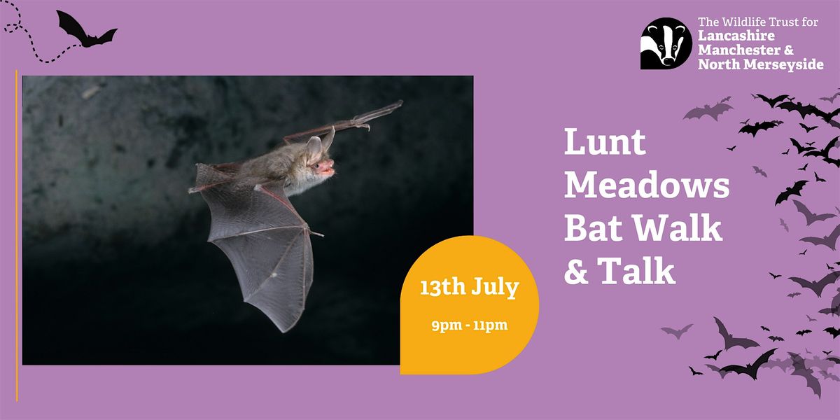 Bat walk and talk from Lunt Meadows