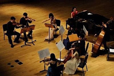 No pains no pains mystery Mini Color music Festival