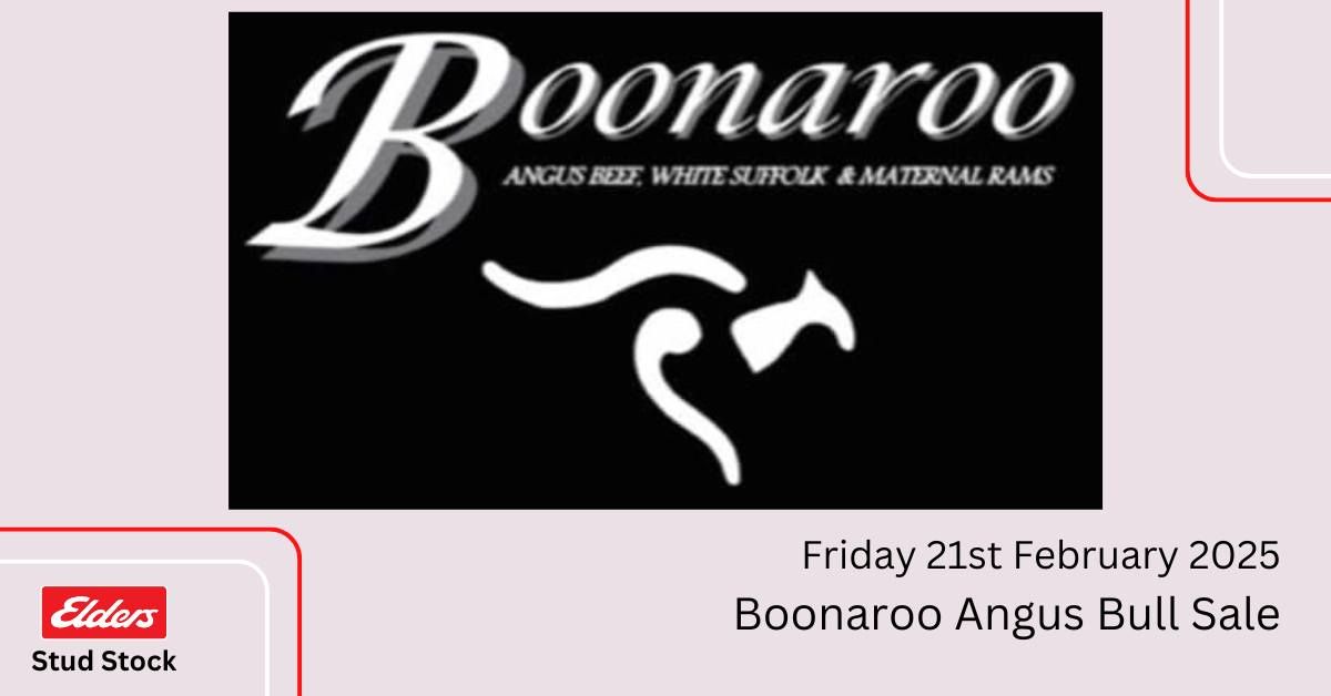 Boonaroo Angus Bull Sale