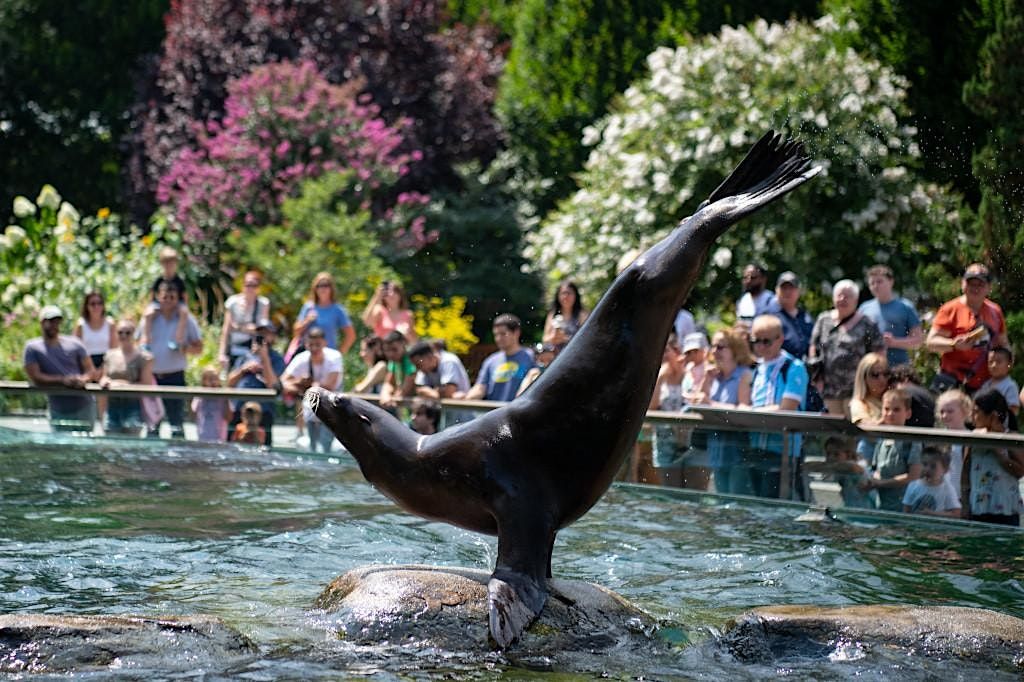 Dream Night at The Central Park Zoo