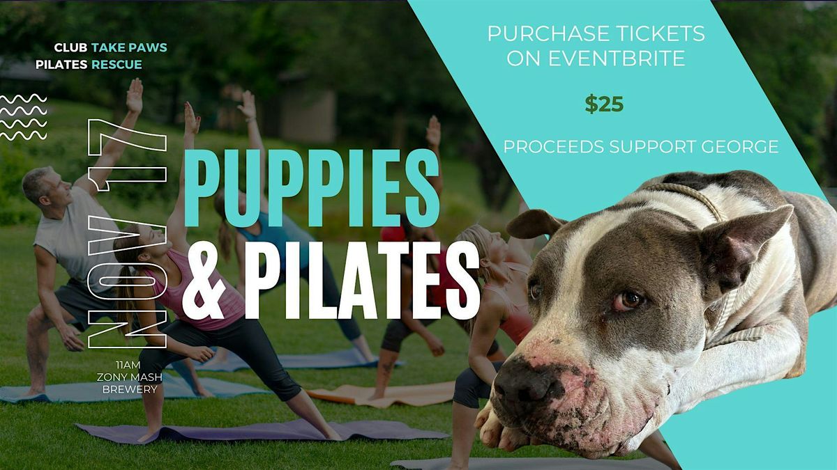 Puppies & Pilates