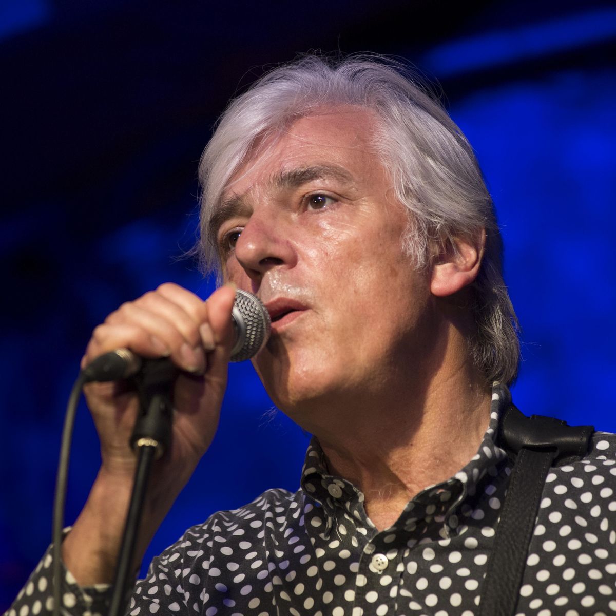 Robyn Hitchcock with DJ Carbo (18+)