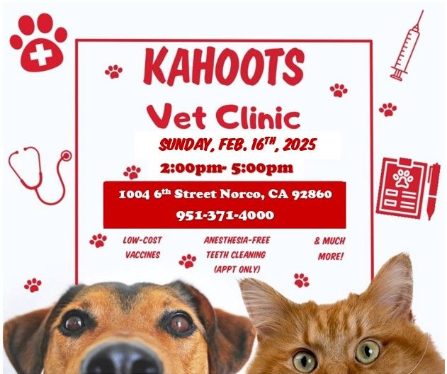 Vet Clinic