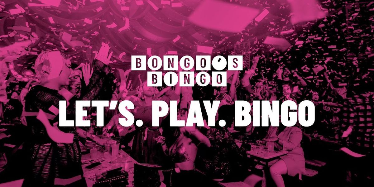 Bongo's Bingo: The Haunted House