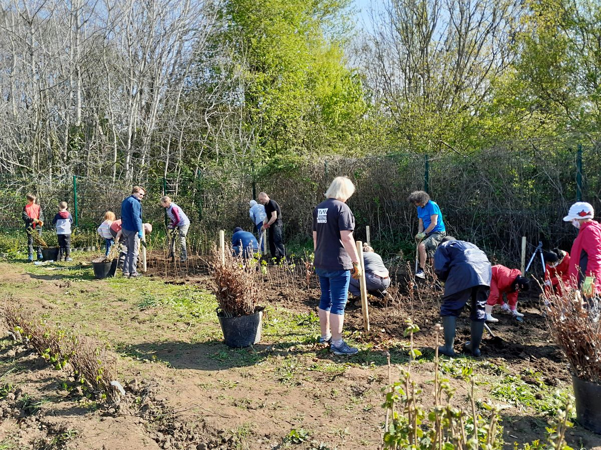 Forest Farm Tree Nursery Volunteering