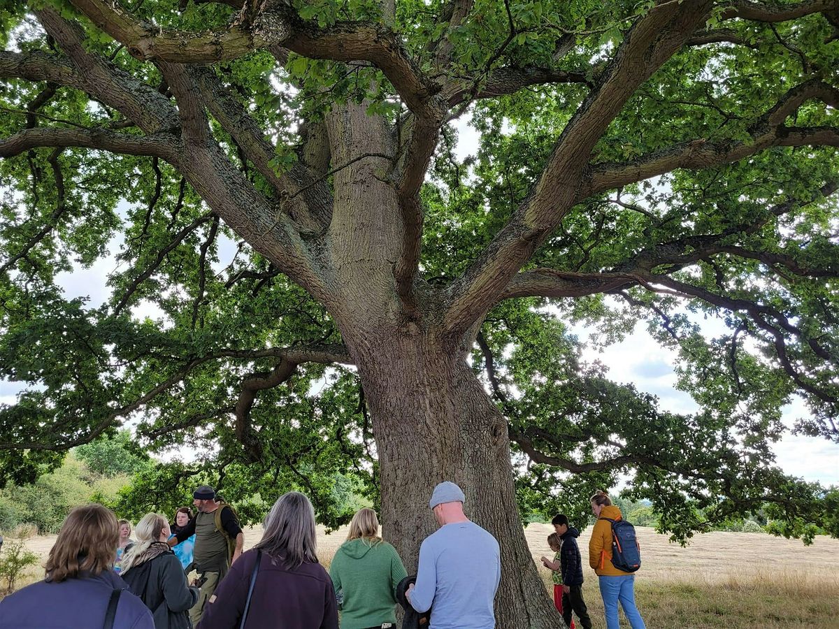 Terrific Trees of Stoke Park