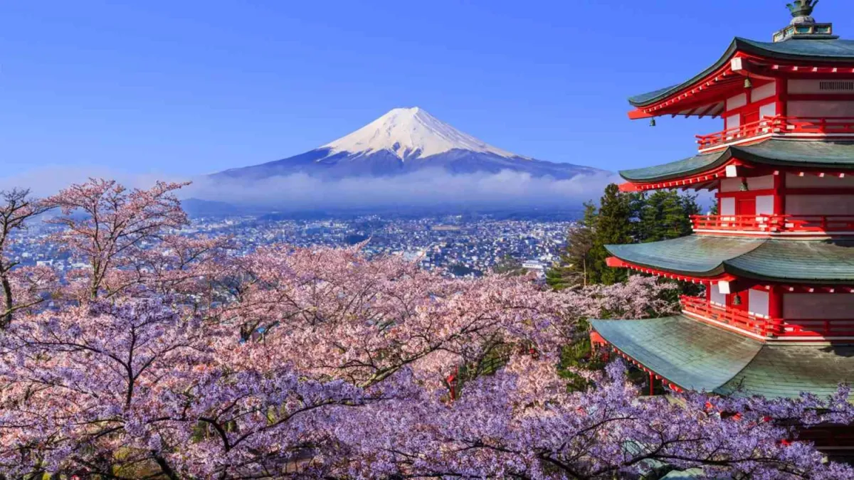 Cherry Blossoms in Japan - The Golden Triangle incl. Tokyo, Kyoto, and Osaka..