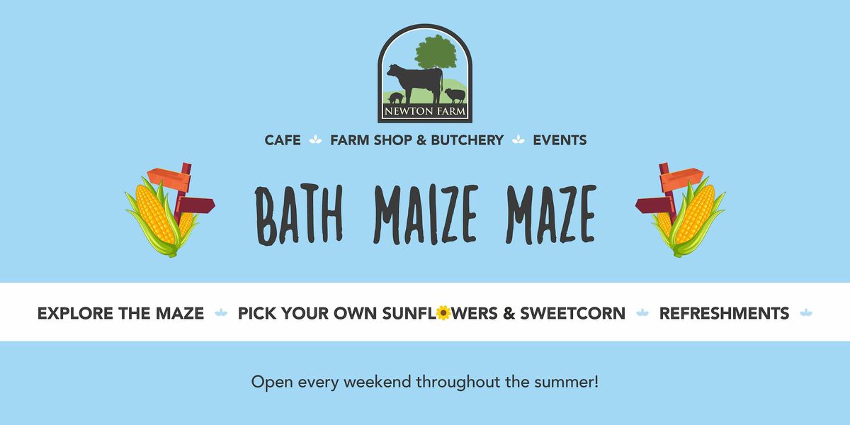 Bath Maize Maze + Pick Your Own Sunflowers + Sweetcorn