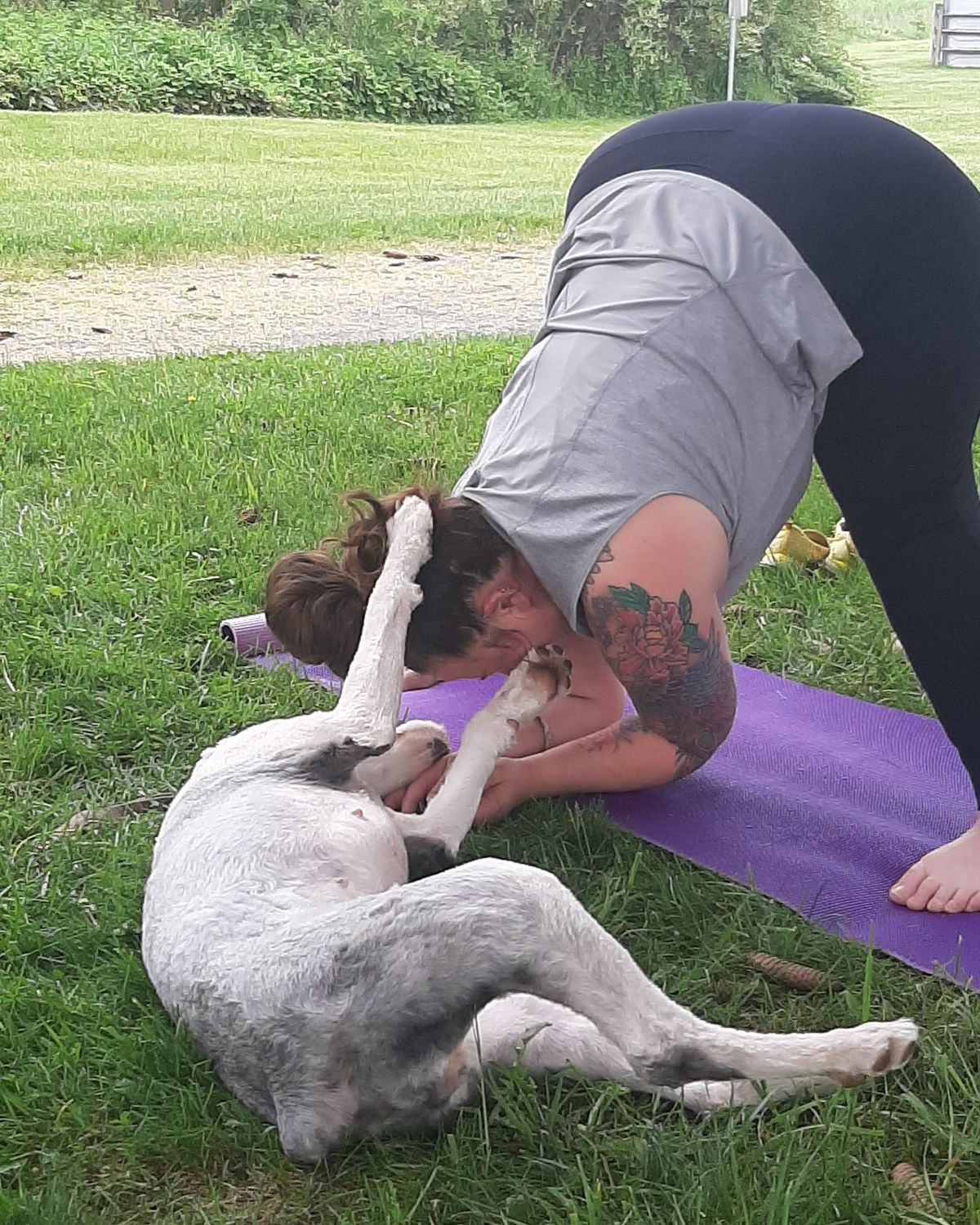 Doga (Dog Yoga)