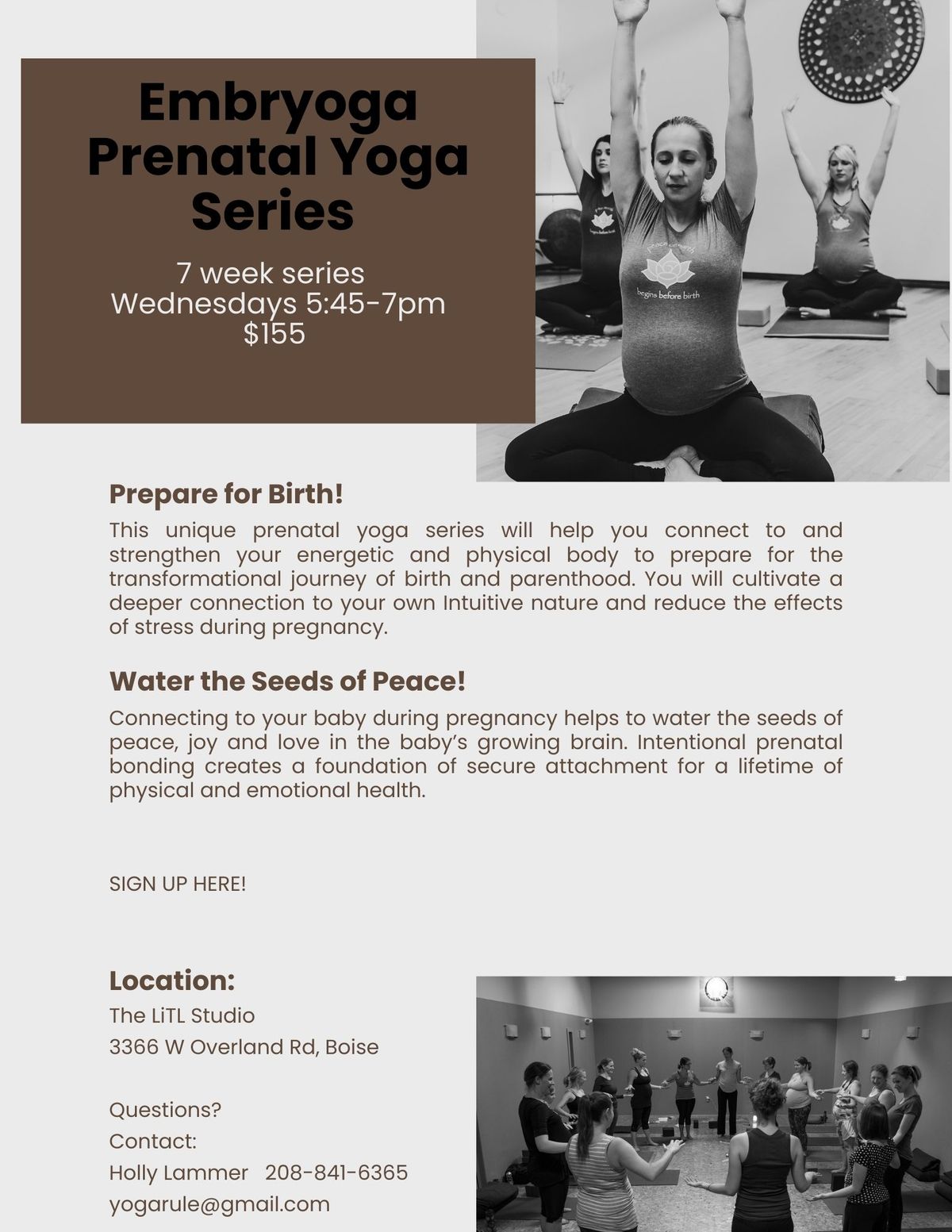 Embryoga Prenatal Yoga Series