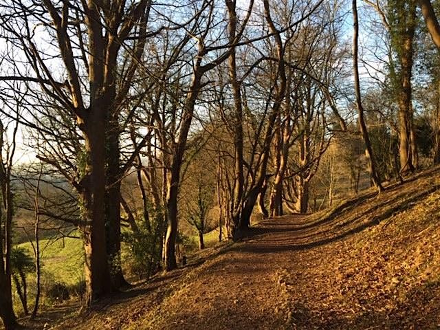 Sunday Heavens Valley Work Day