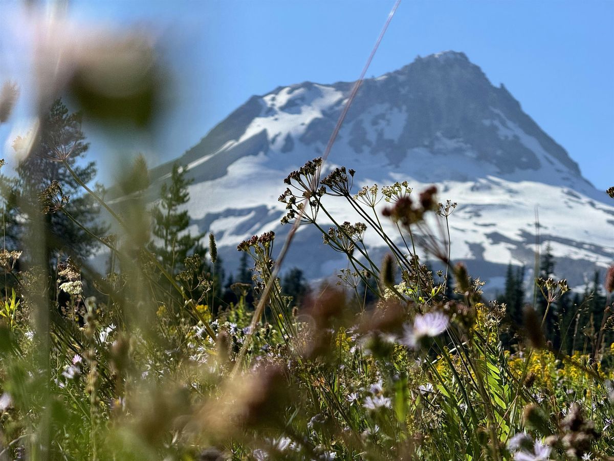 Pinnacle Ridge Multi-Day Trail Party (camping available) - Mt. Hood