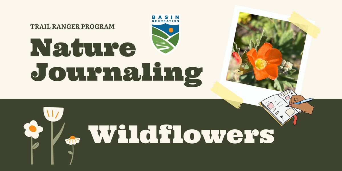 Nature Journaling | Wildflowers