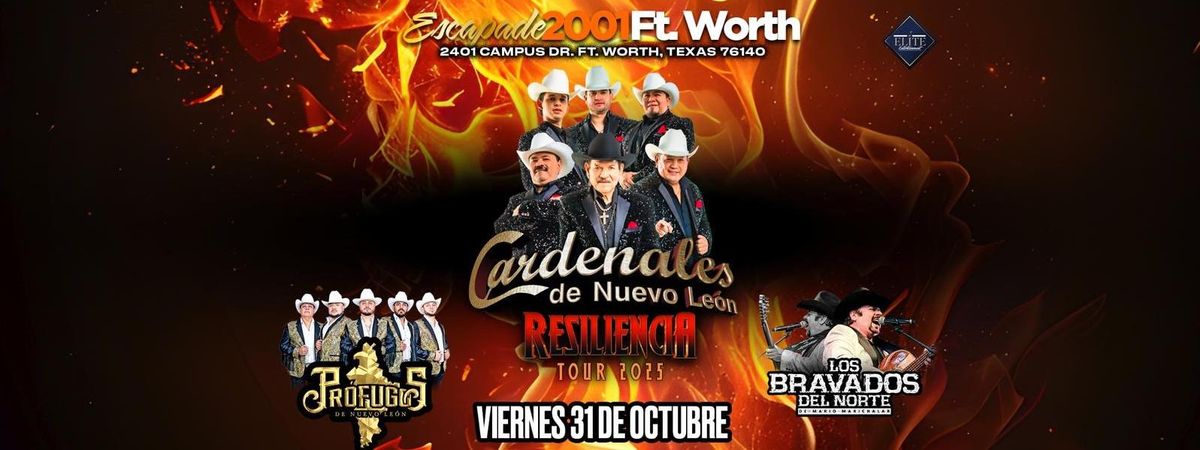 CARDENALES DE NUEVO LEON, LOS PROFUGOS & MAS