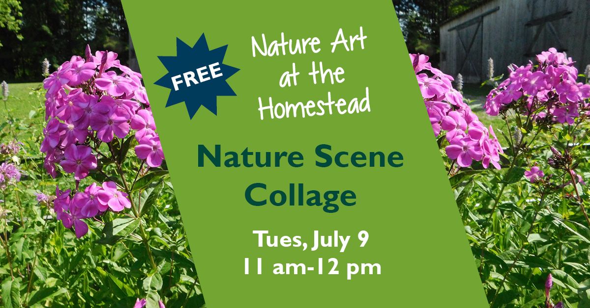 Nature Art at the Homestead: Nature Scene Collage