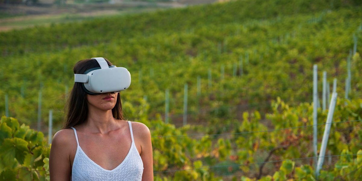 Esperienza di vendemmia in Virtual Reality con i 5 sensi!