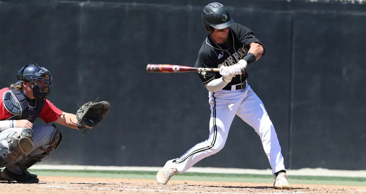 Parking The Citadel Bulldogs at Wofford Terriers Mens Basketball