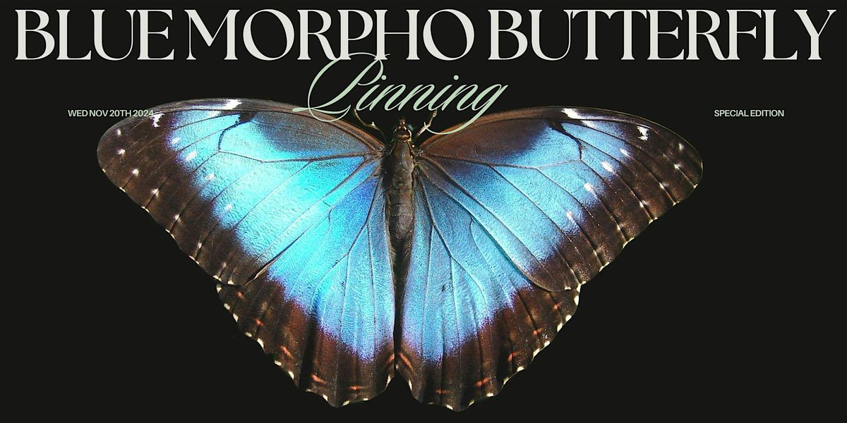 Special  Edition: Blue Morpho Butterfly Pinning Workshop