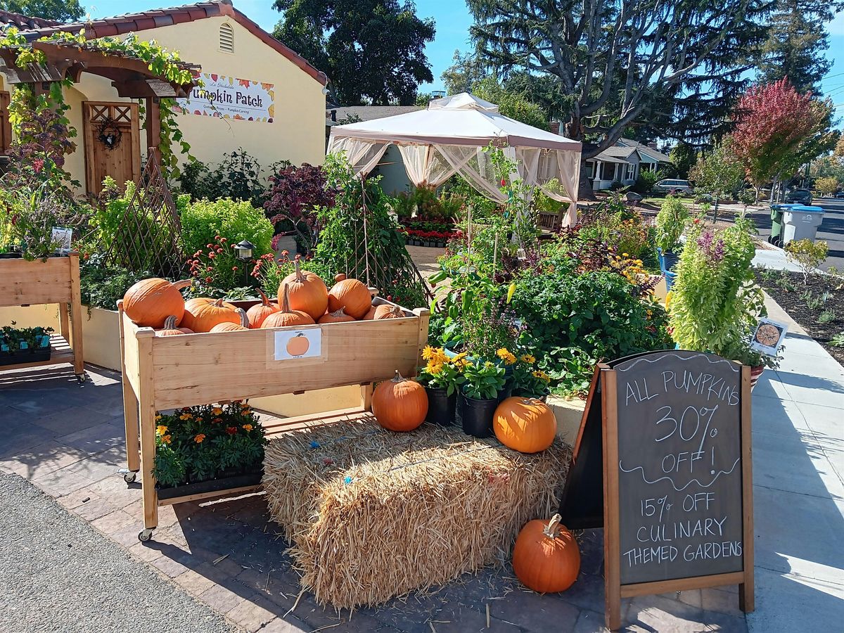 La Herbalista Pumpkin Patch & Carnival